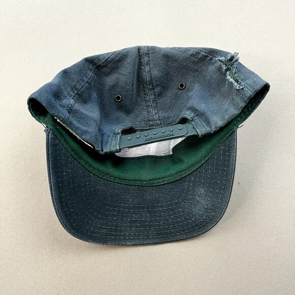 Vintage Daffy Duck Hat Cap Snapback Green Looney Tunes Warner Bros Adjustable - Picture 4 of 8